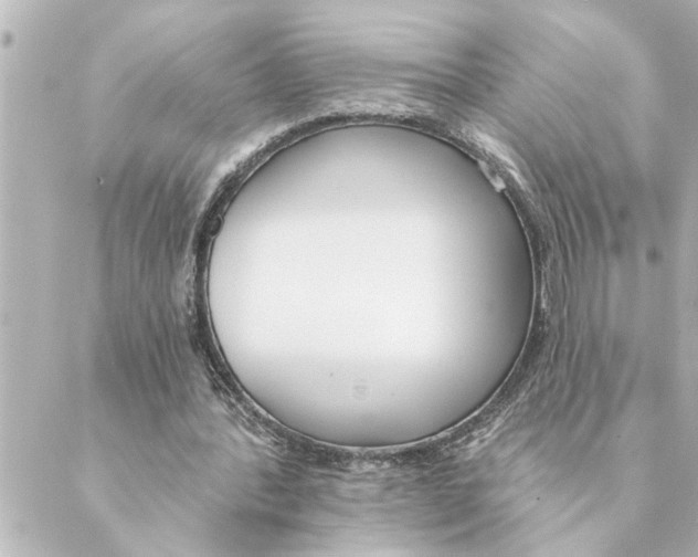 X0000088610388200706221436