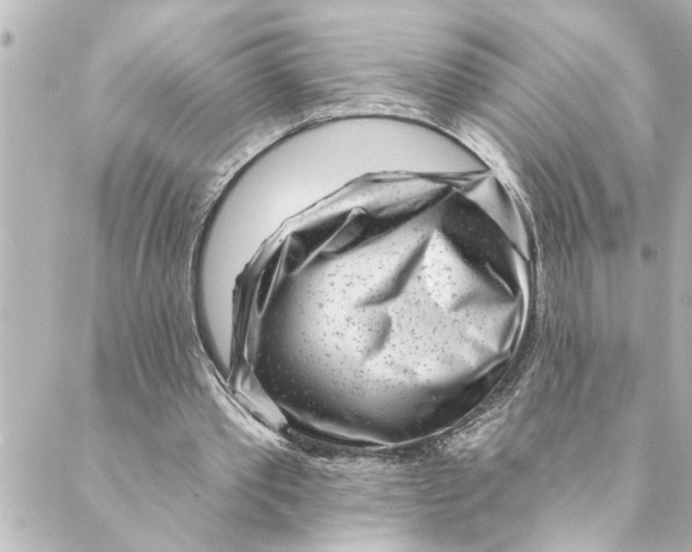 X0000088610389200706221436