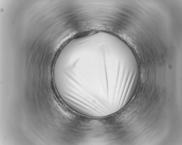 X0000088610390200706221436