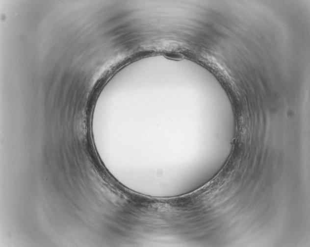 X0000088610392200706221436