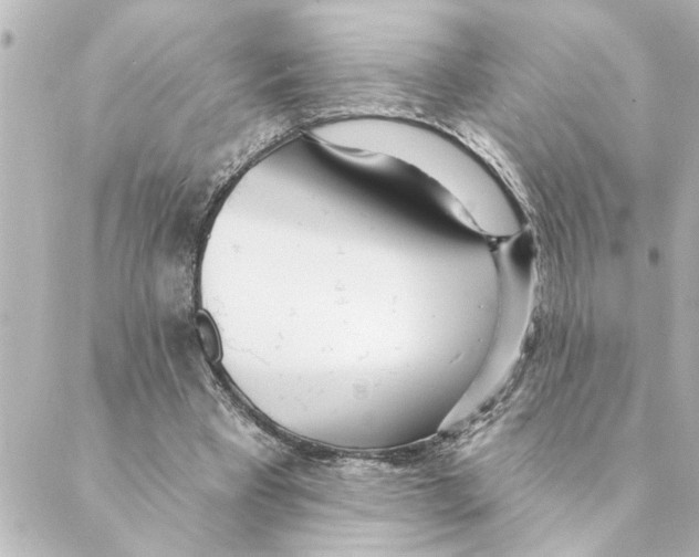 X0000088610393200706221436