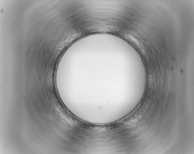 X0000088610394200706221436