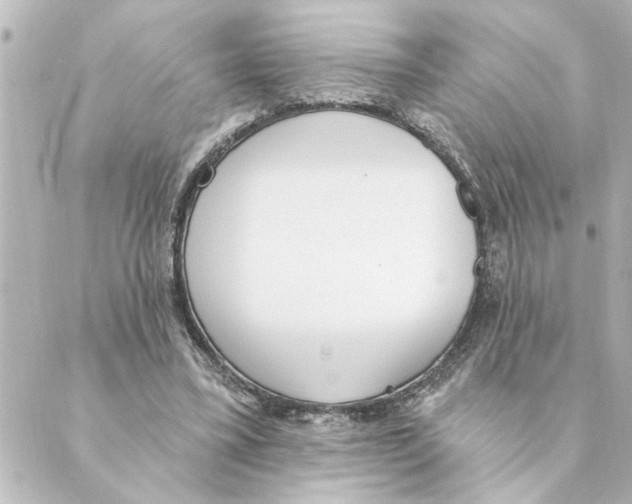 X0000088610395200706221436