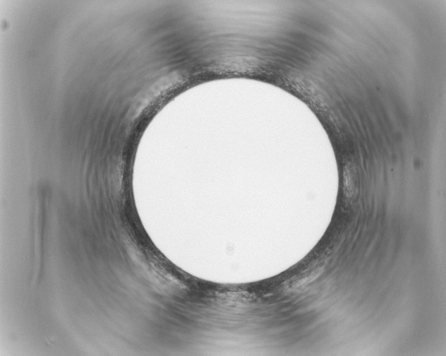 X0000088610396200706221436