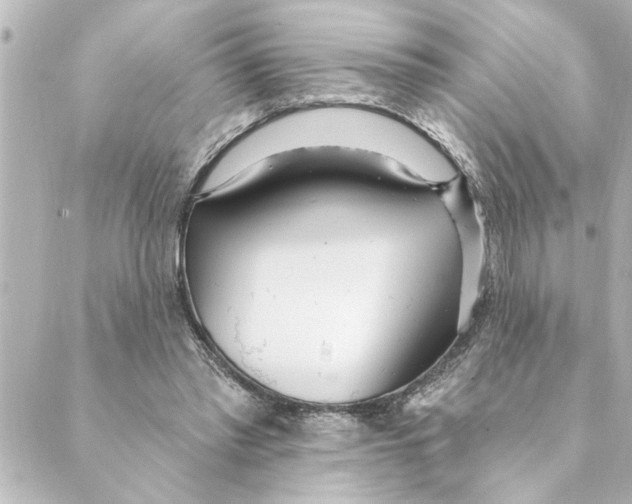 X0000088610397200706221436