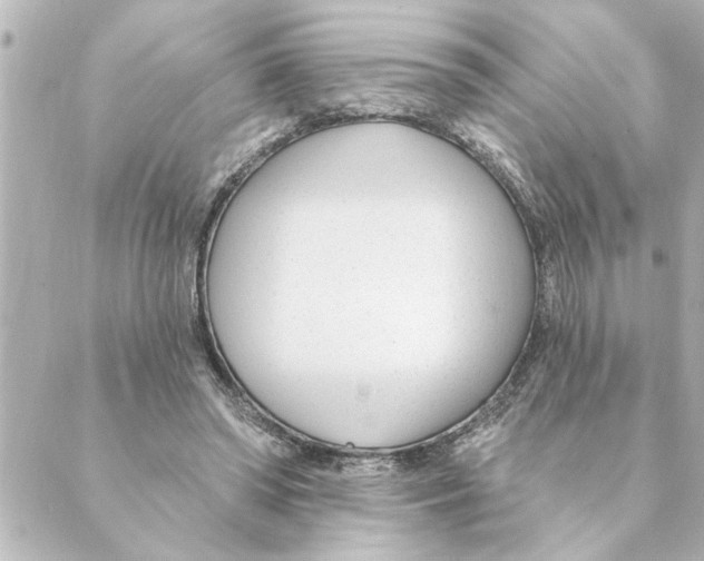 X0000088610398200706221436