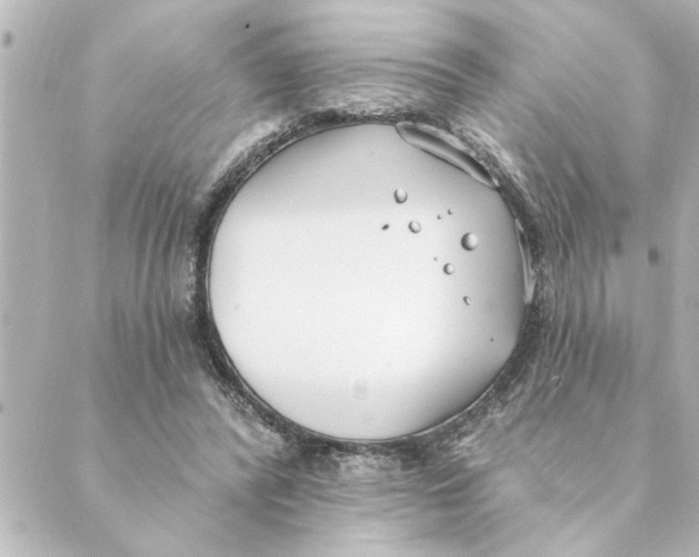 X0000088610400200706221436