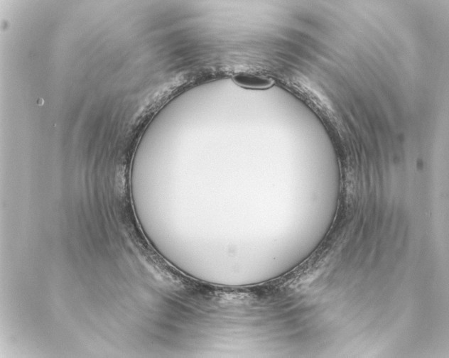 X0000088610401200706221436