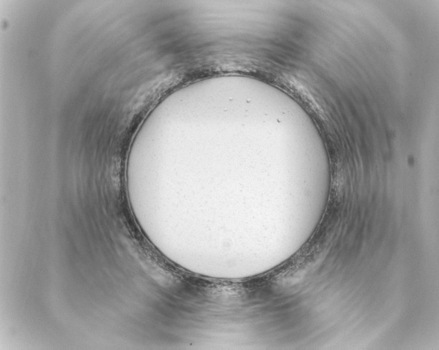 X0000088610402200706221436