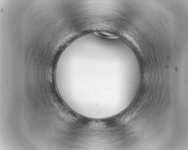 X0000088610403200706221436