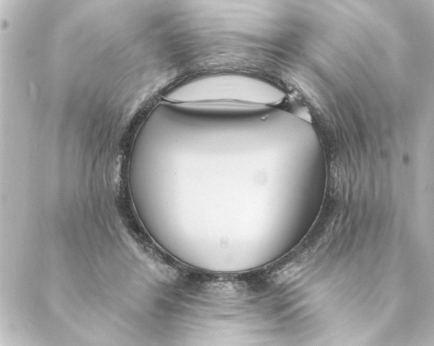 X0000088610404200706221436