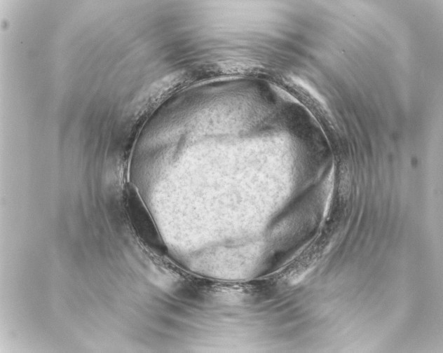 X0000088610405200706221436