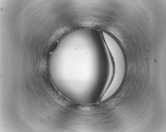 X0000088610407200706221435