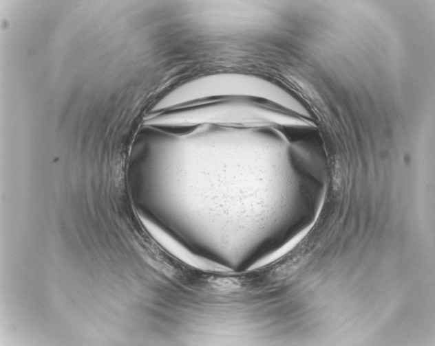 X0000088610409200706221435