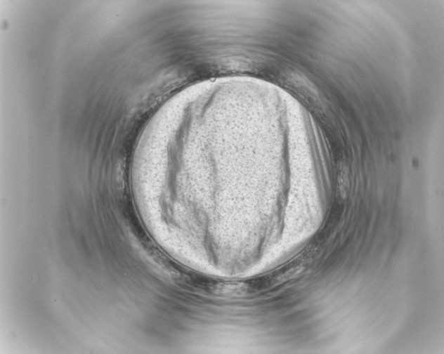 X0000088610410200706221435