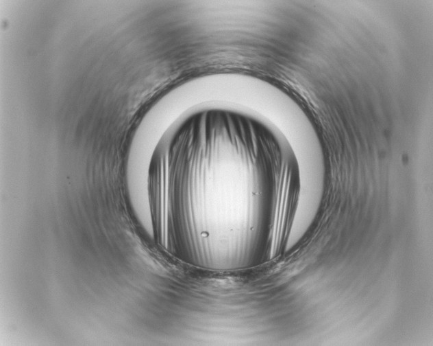 X0000088610411200706221435