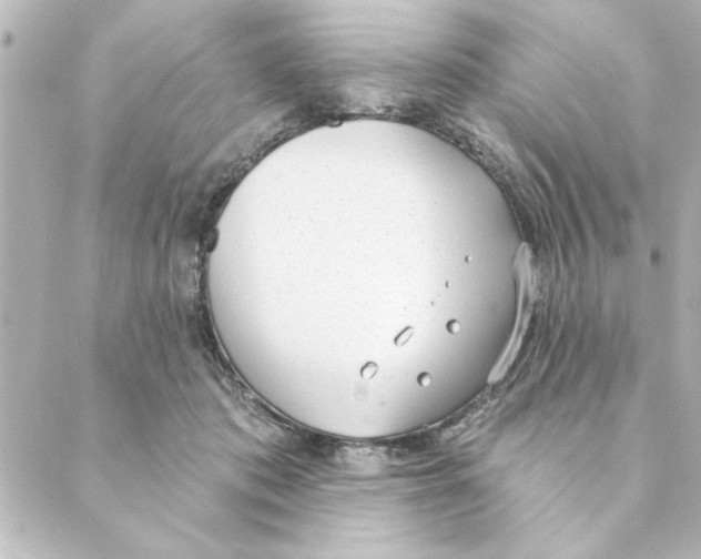 X0000088610413200706221435