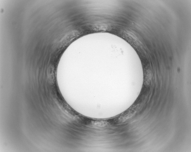 X0000088610414200706221435