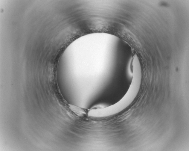 X0000088610416200706221435