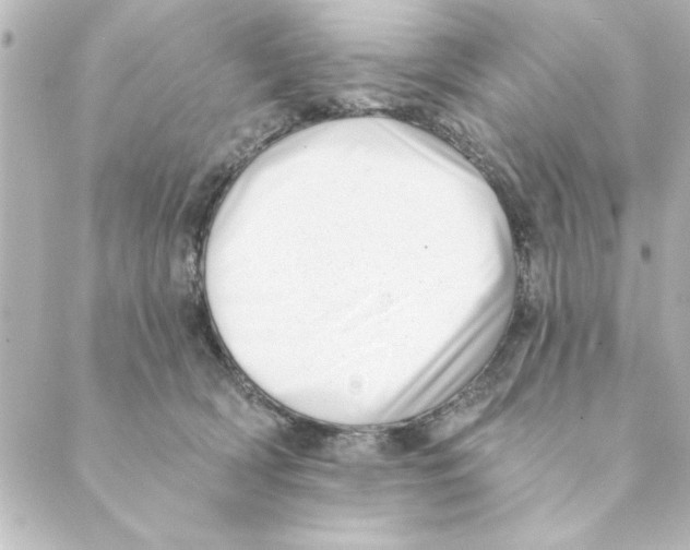 X0000088610418200706221435