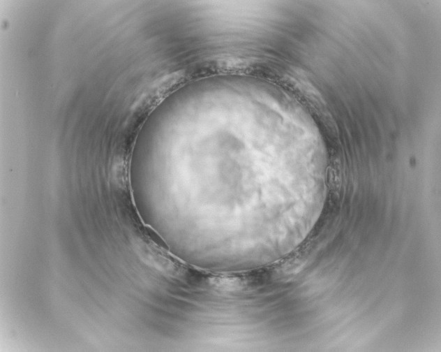 X0000088610419200706221435