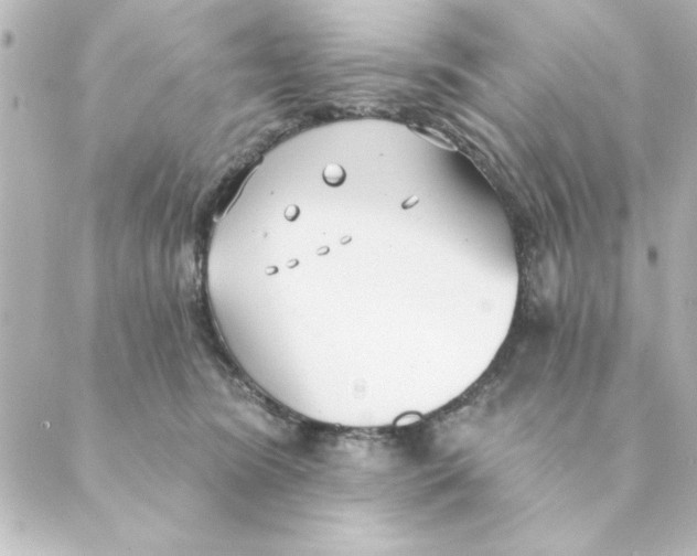 X0000088610420200706221435