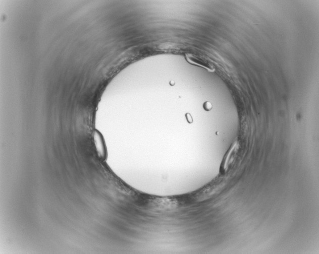 X0000088610421200706221435