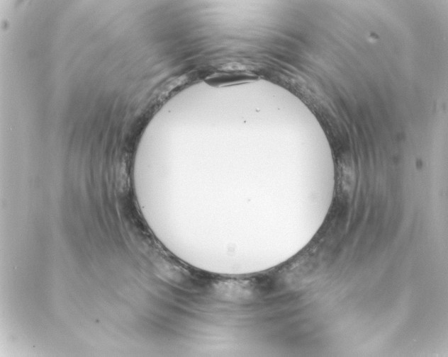 X0000088610422200706221435