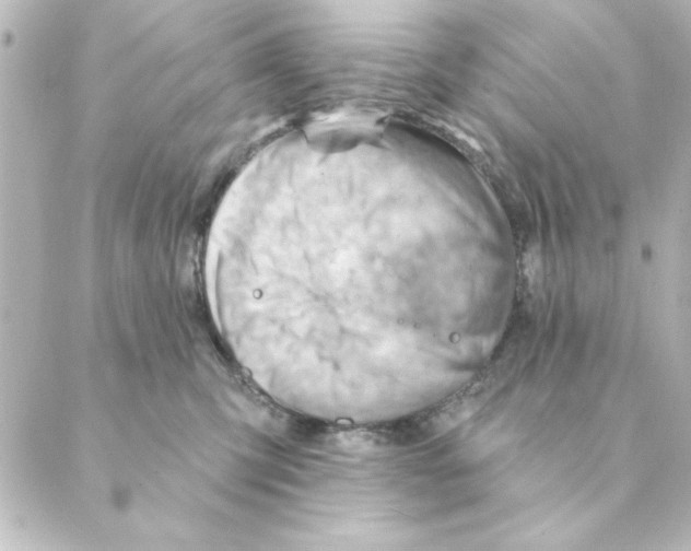 X0000088610423200706221435