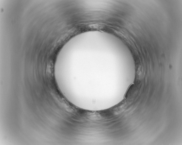 X0000088610424200706221435