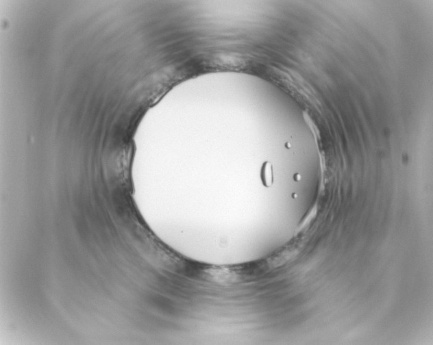 X0000088610425200706221435