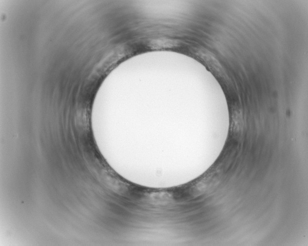 X0000088610426200706221435