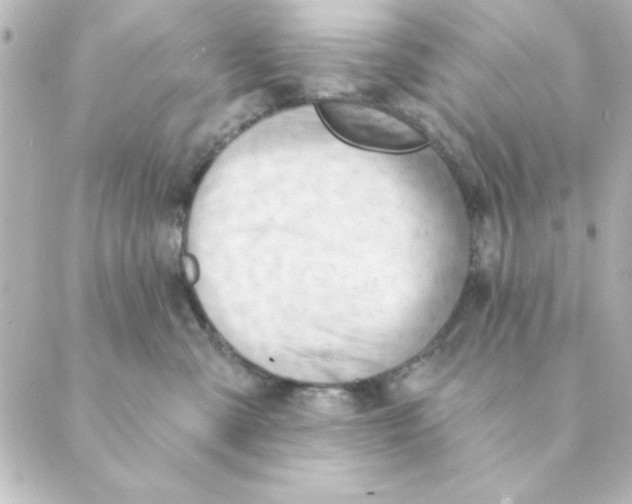 X0000088610427200706221435