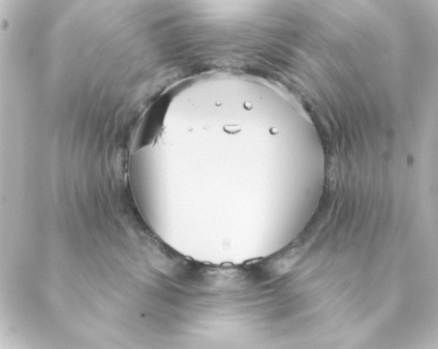 X0000088610428200706221435