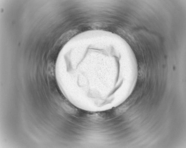 X0000088610430200706221435