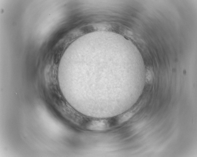 X0000088610431200706221435