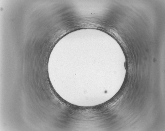 X0000088610433200706221434