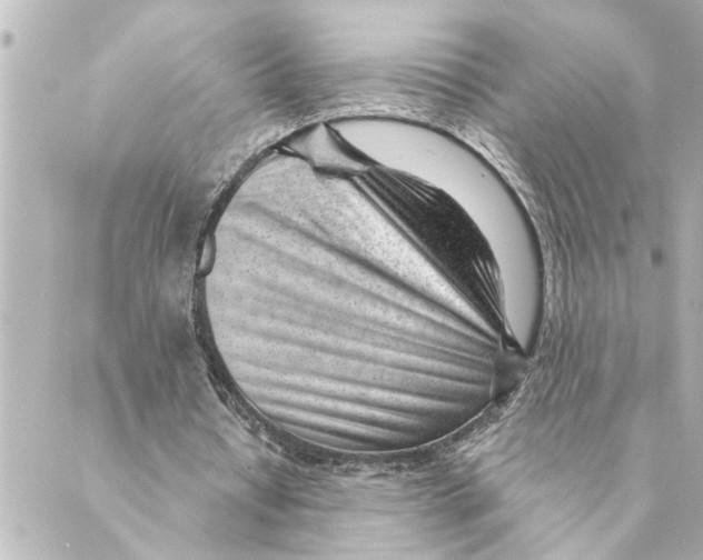 X0000088610434200706221434