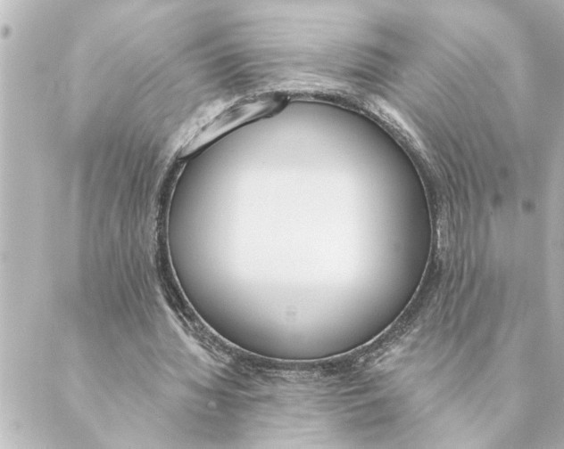 X0000088610436200706221434