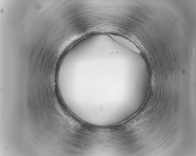 X0000088610438200706221434