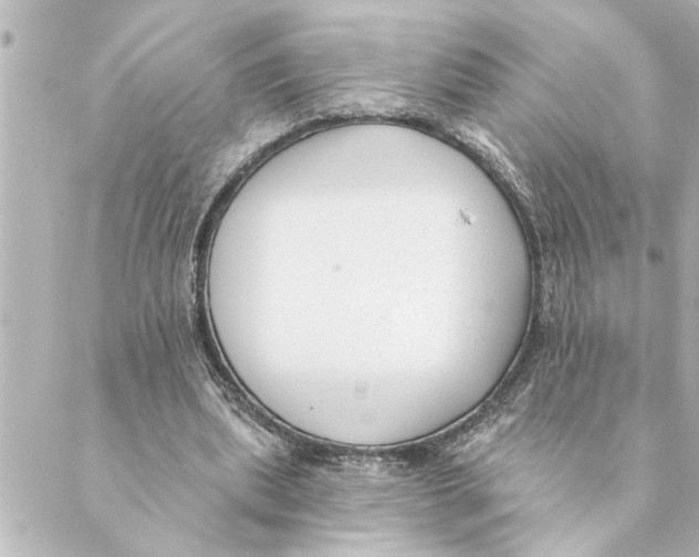 X0000088610439200706221434