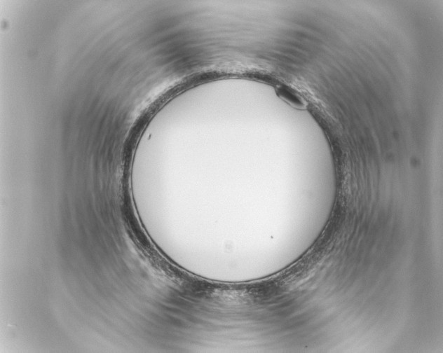 X0000088610440200706221434