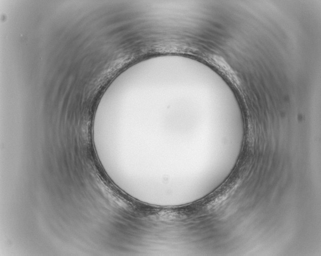 X0000088610441200706221434