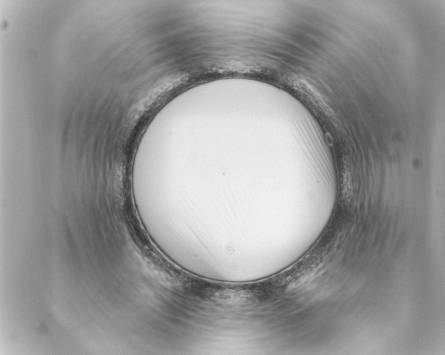 X0000088610444200706221434