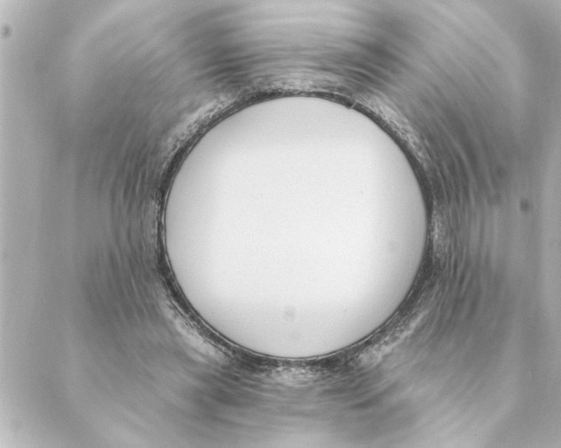 X0000088610445200706221434