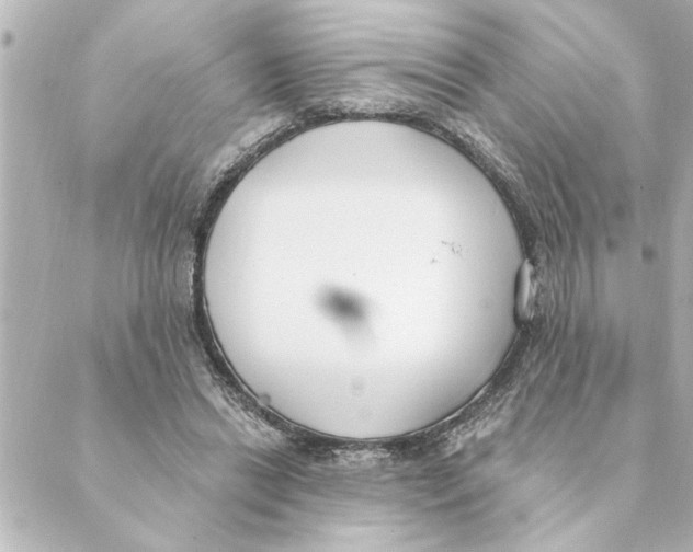 X0000088610446200706221435