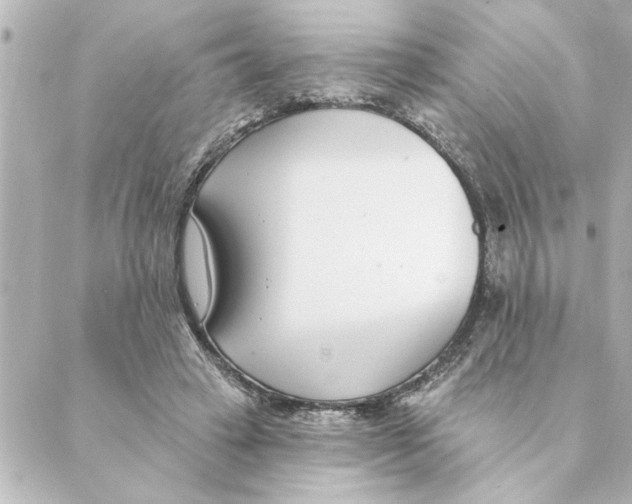 X0000088610449200706221435