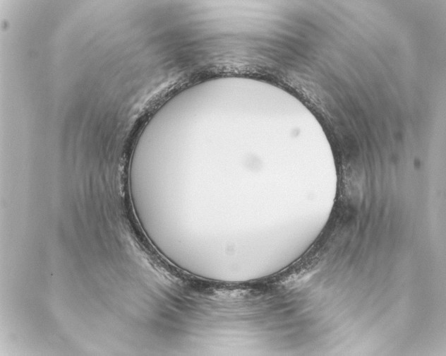 X0000088610450200706221435