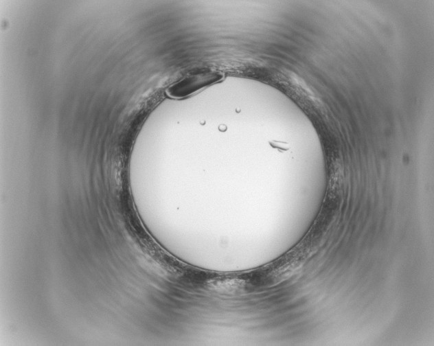 X0000088610452200706221435