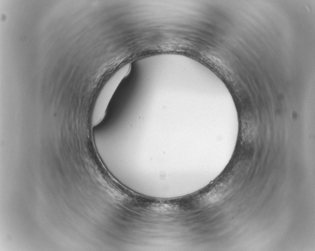 X0000088610453200706221435